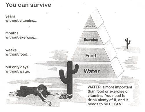 Survival Pyramid